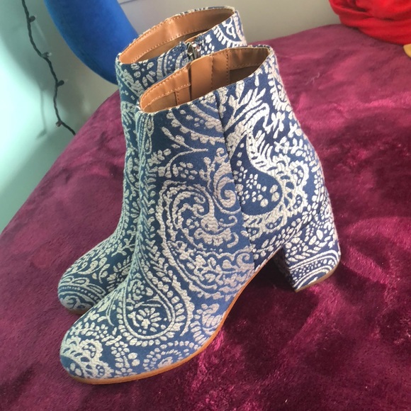 carvela pacific knee high boots